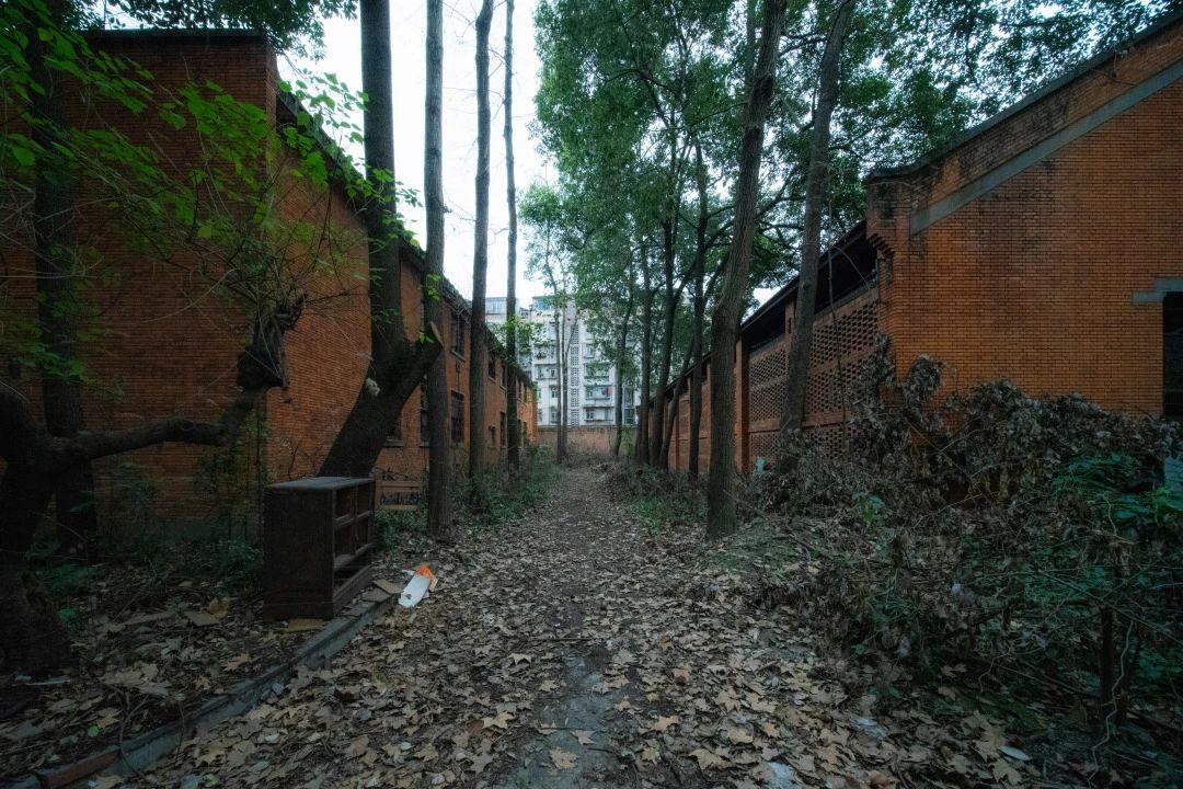 0 (31).jpg