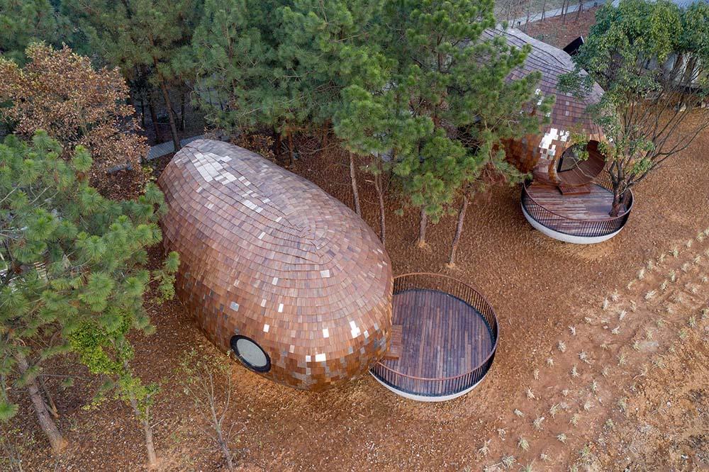 种子木屋 / 休耕建筑