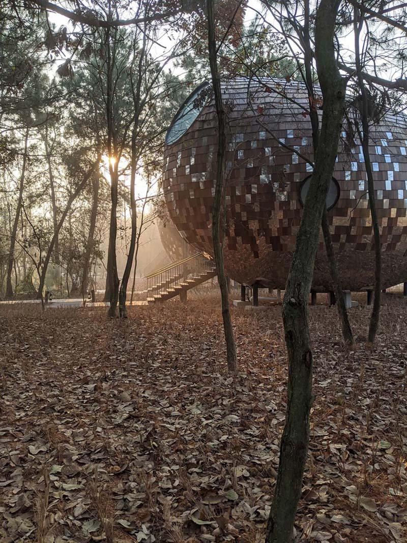 种子木屋 / 休耕建筑