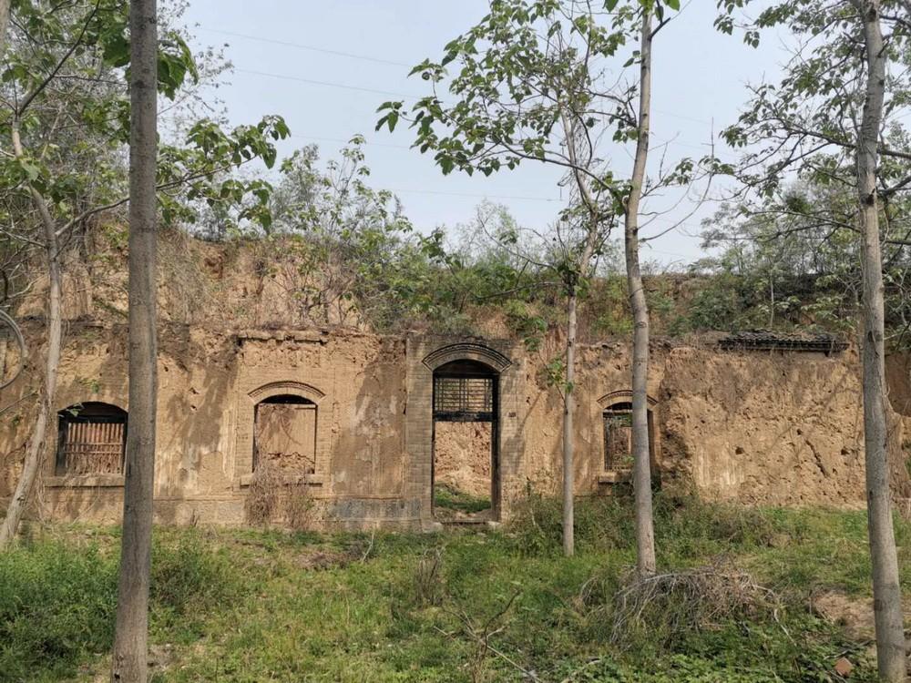 微建筑系列 II – 废墟书屋/一树建筑