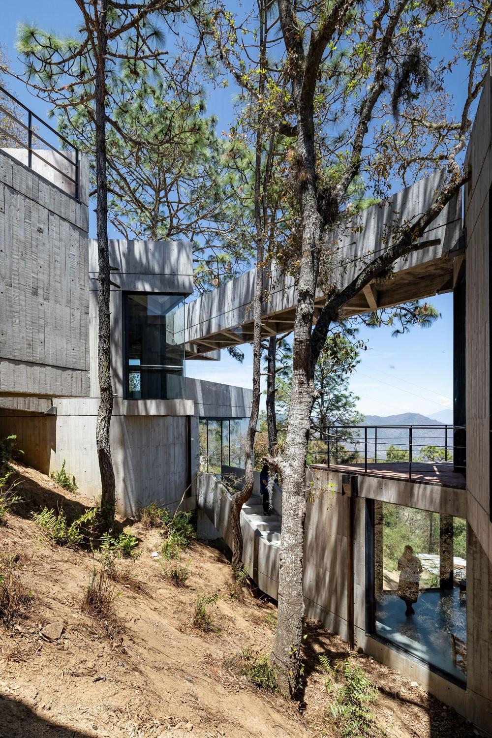 体块的协奏曲：墨西哥蚕园/LAMZ Arquitectura