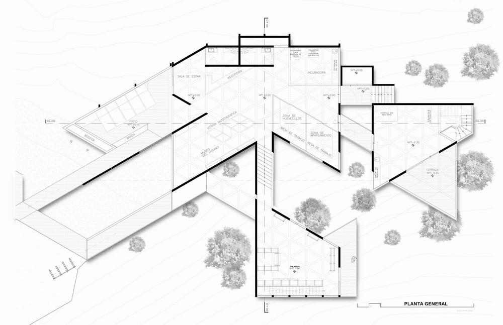 体块的协奏曲：墨西哥蚕园/LAMZ Arquitectura