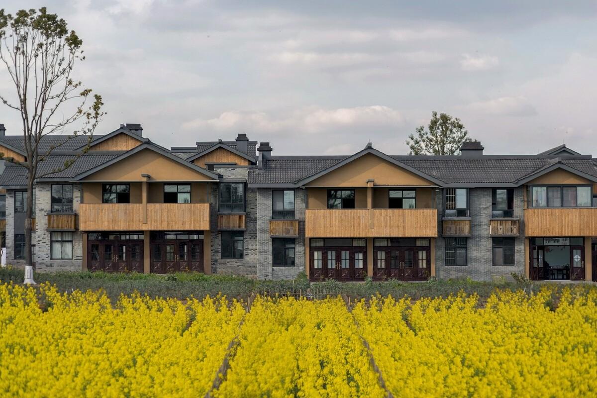 邹迎晞，乡建圈里最靠谱的建筑师之一 / 袈蓝建筑