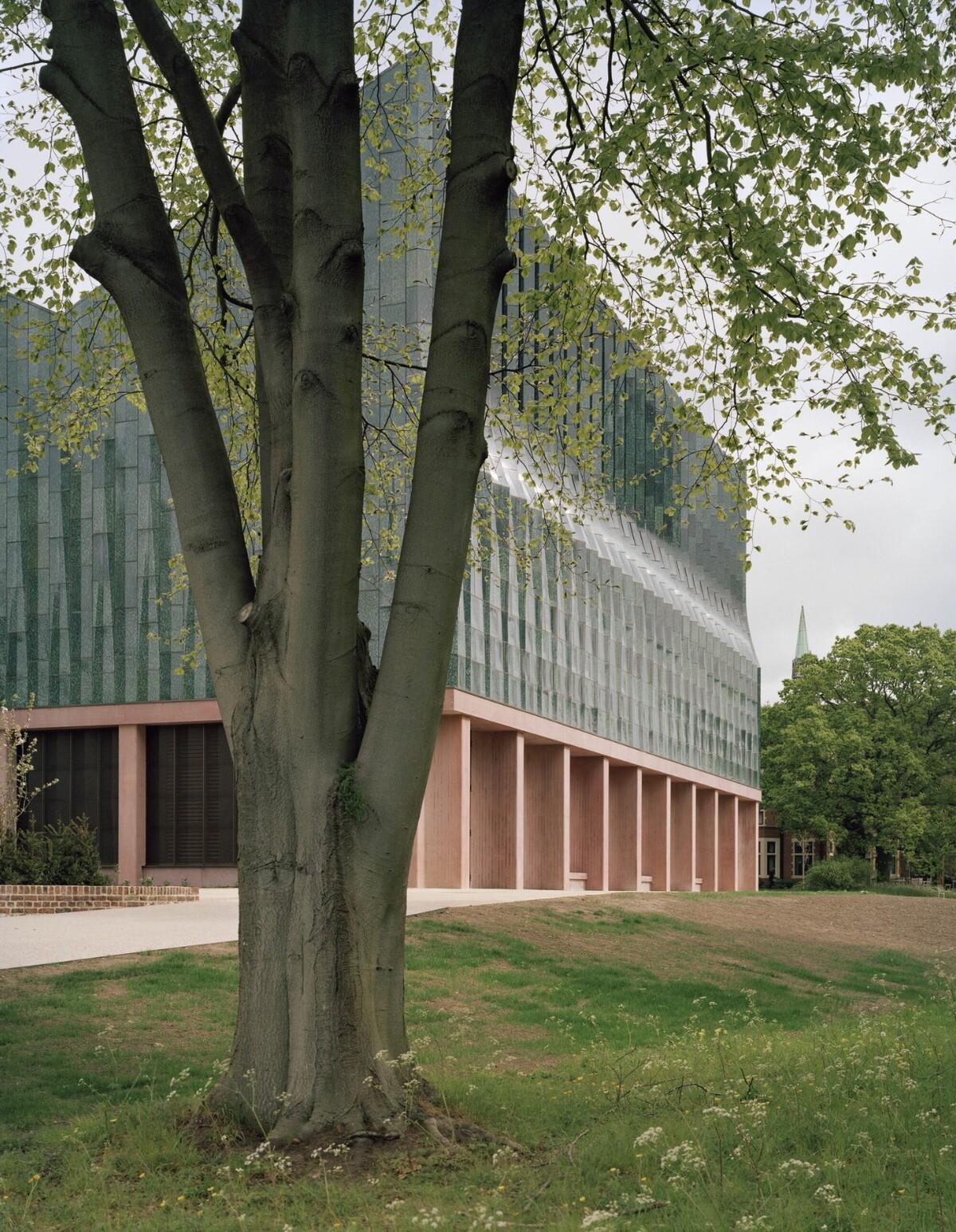 复古绿釉，剑桥大学食堂 / Feilden Fowles