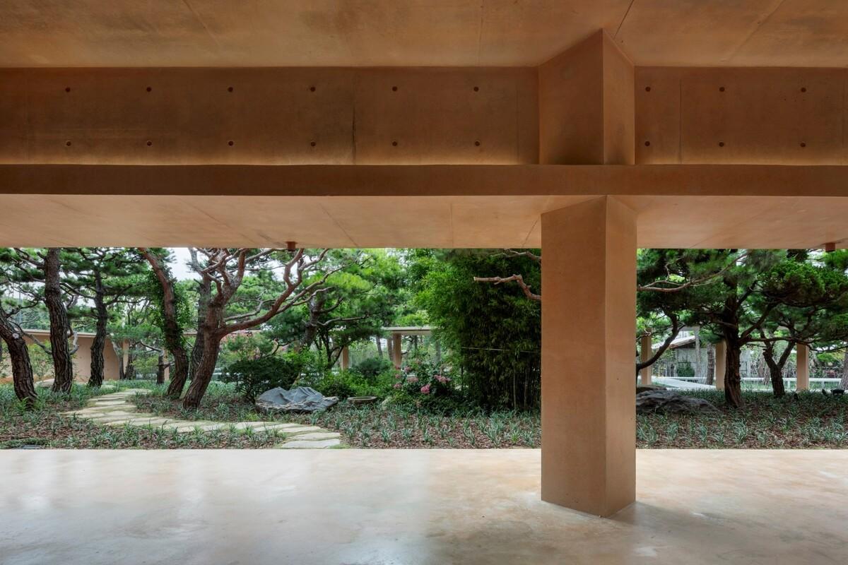 MRNW 大邱文化中心 / Society of Architecture + Yerin Kang