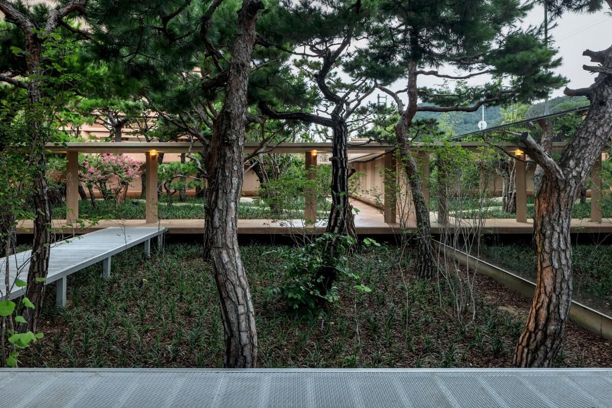 MRNW 大邱文化中心 / Society of Architecture + Yerin Kang