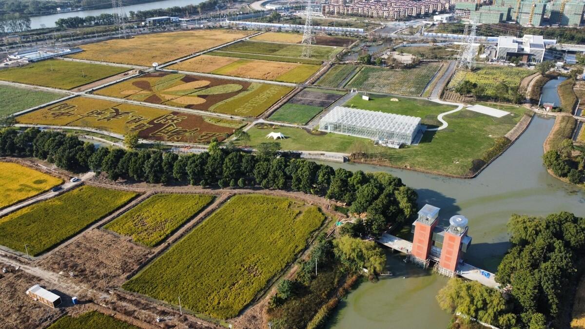 乡村微更新的在地实践 / 上海交通大学奥默默工作室