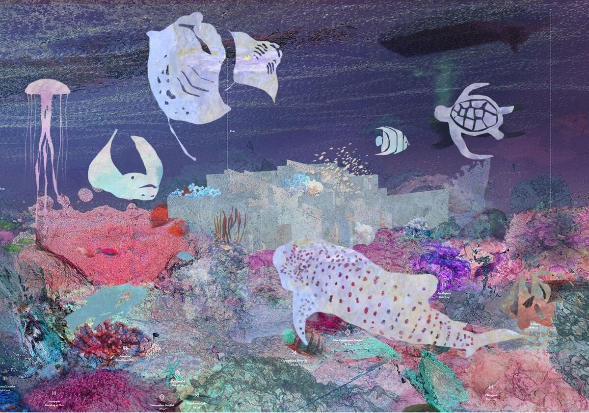科尔蒂斯海洋研究中心 / Tatiana Bilbao