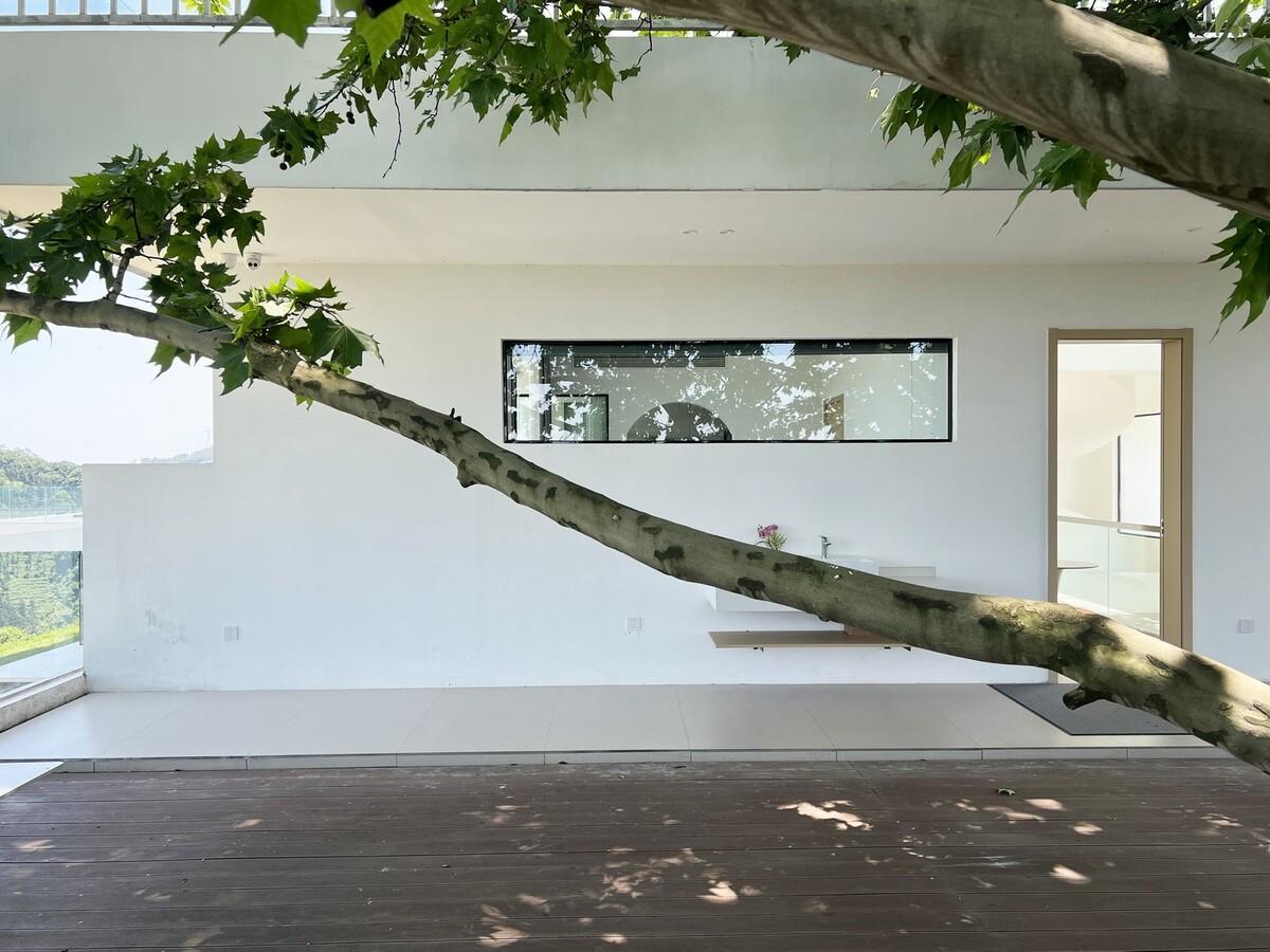 云台阅野：漂浮在茶田上的民宿 / 岩川建筑设计