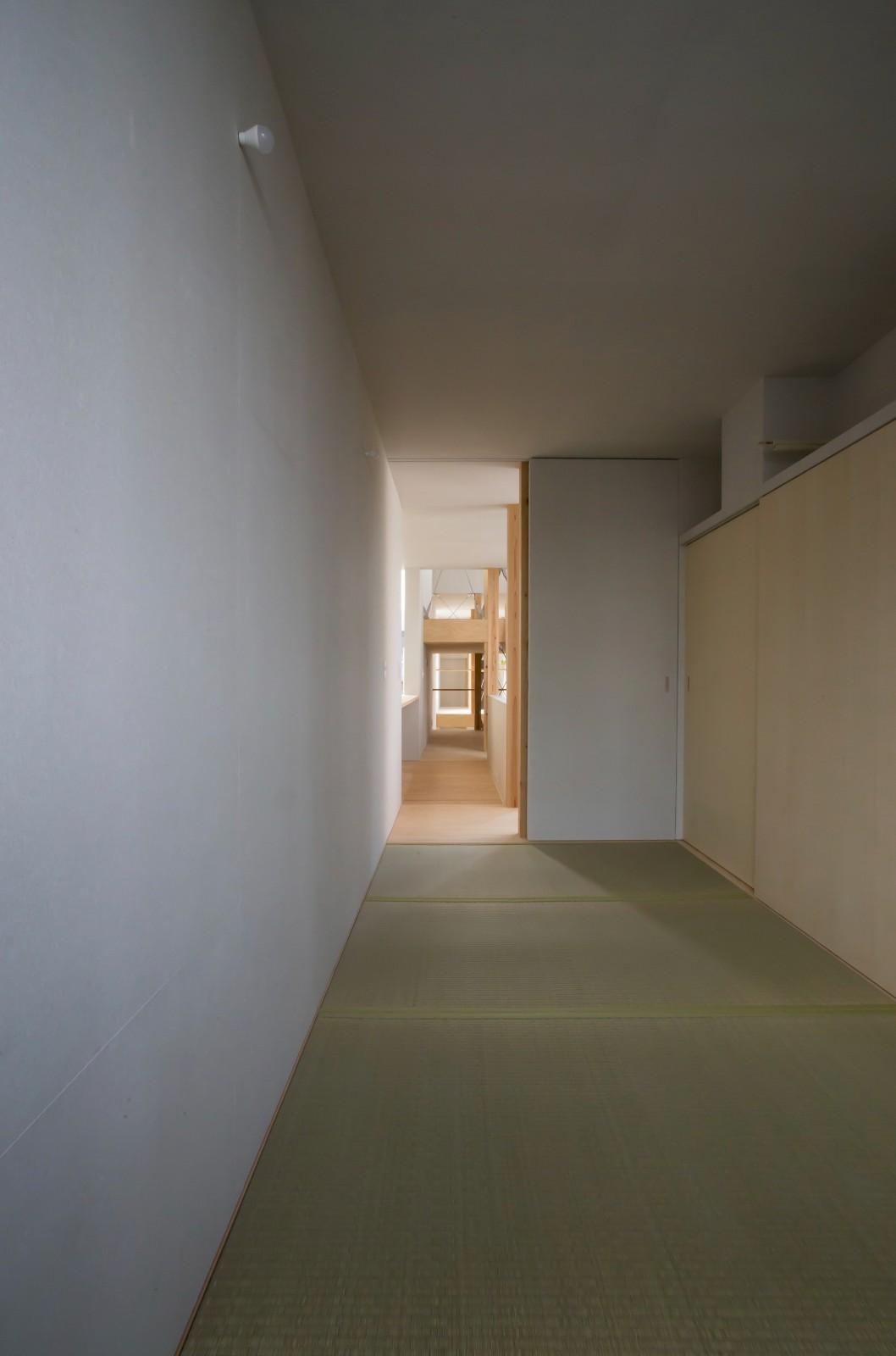 KJ 住宅 / 1-1 Architects
