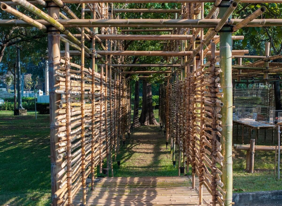 ASA LANNA 展馆 / Yangnar Studio