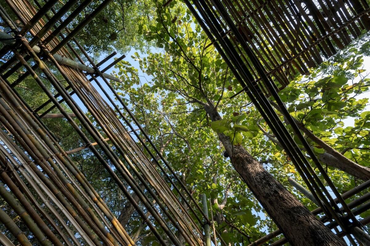 ASA LANNA 展馆 / Yangnar Studio