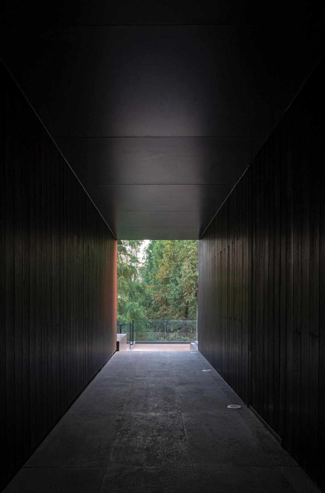 桐乡濮院红旗漾杉林部落共享餐厅 / 上海严旸建筑设计工作室