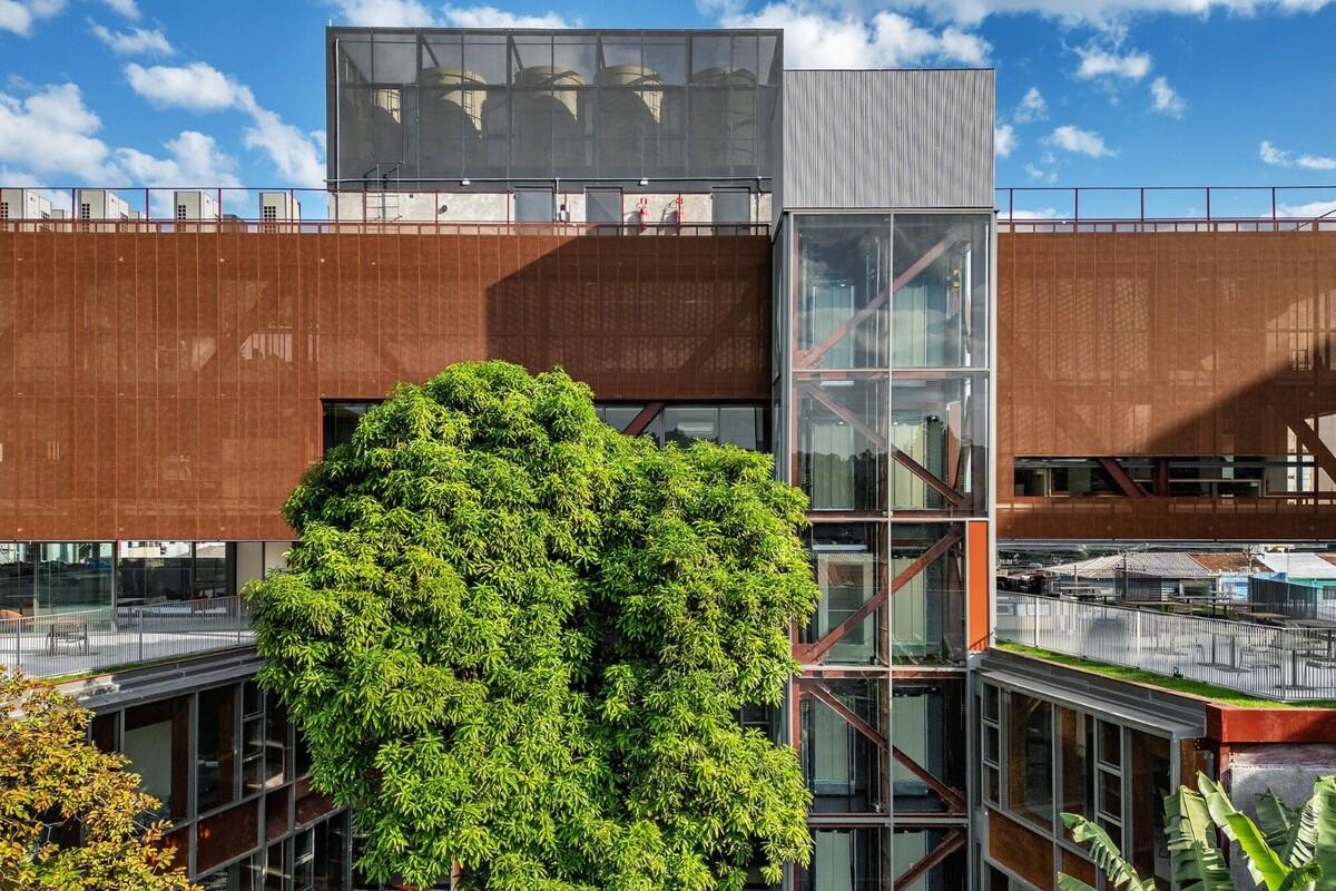 鲁道夫斯坦纳大学 / Biselli Katchborian Arquitetos