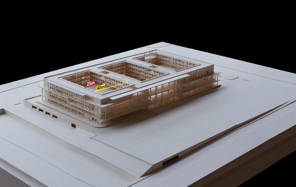 仙林学校 / 雁飞建筑事务所