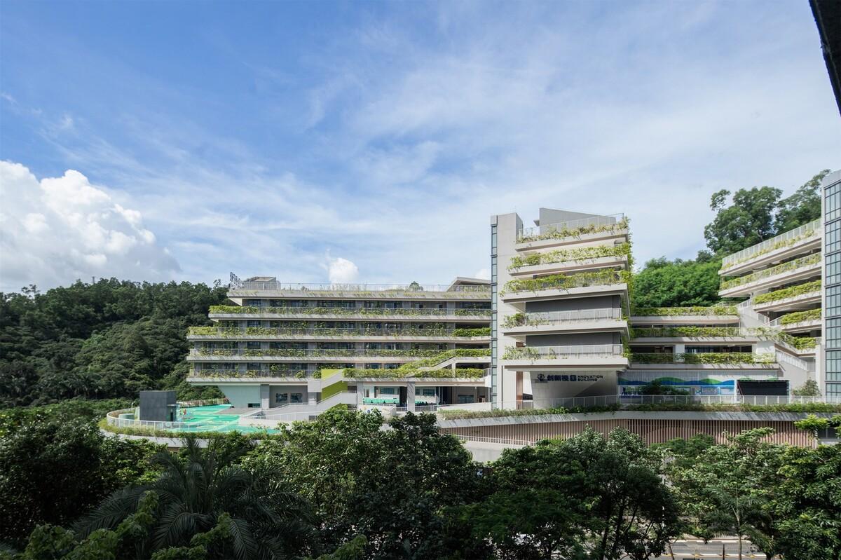 “上山”校园：深圳福田实验教育集团侨香学校·北校区 / 申都设计