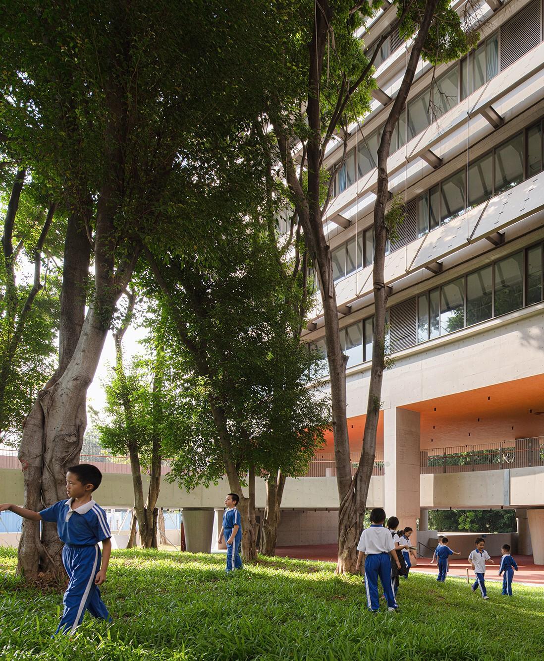 深圳荔园外国语小学 / 直向建筑