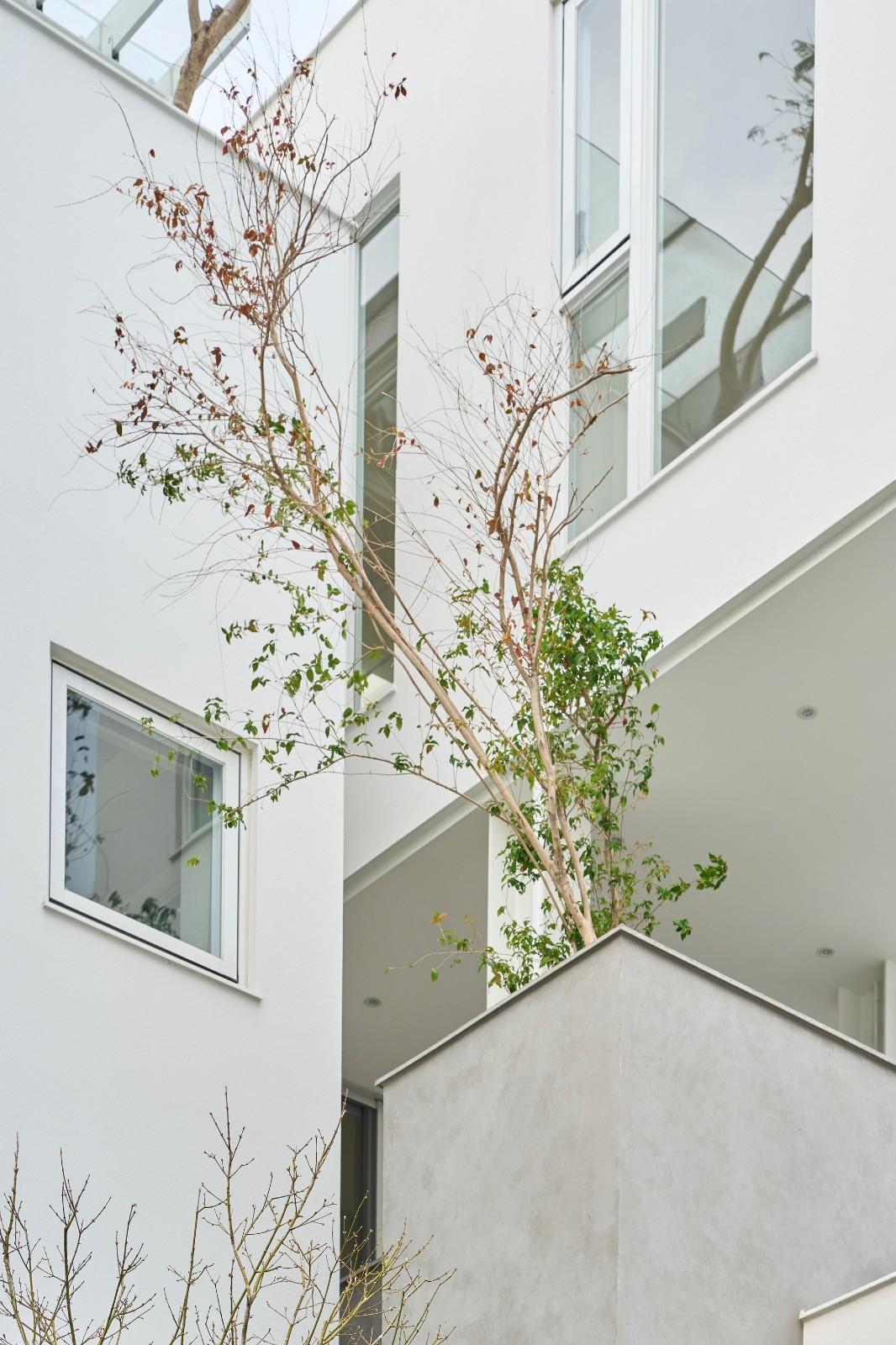 山谷之家 / Soar Design Studio + Ray Architects
