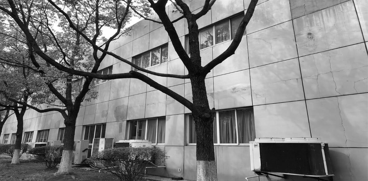 工业上楼与智造空间：市区工业的精细化城市更新 ——上海百诺巧克力梦工厂·博物馆 / 创霖-泽柏
