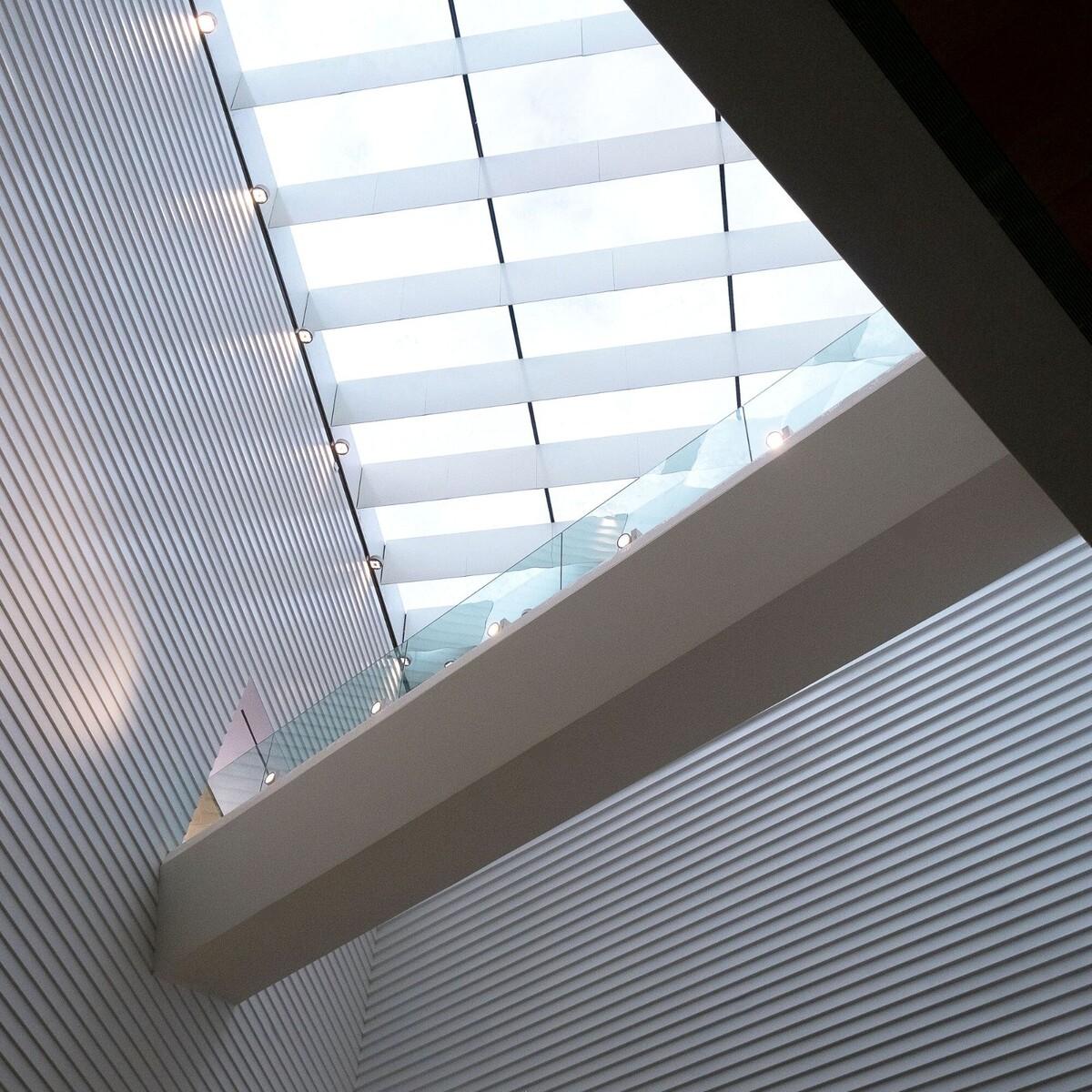 迪里耶未来艺术中心 / Schiattarella Associati