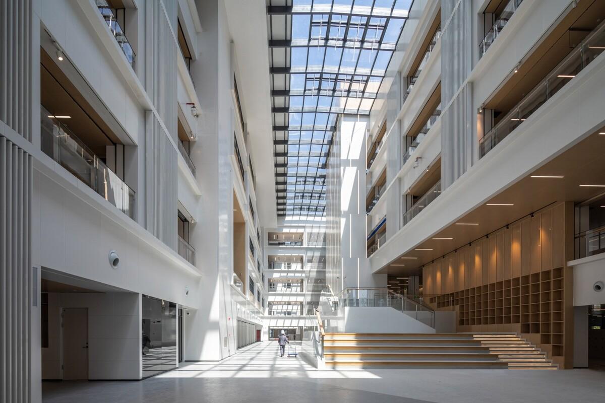 上海金鼎平和学校 / c+d Design Center