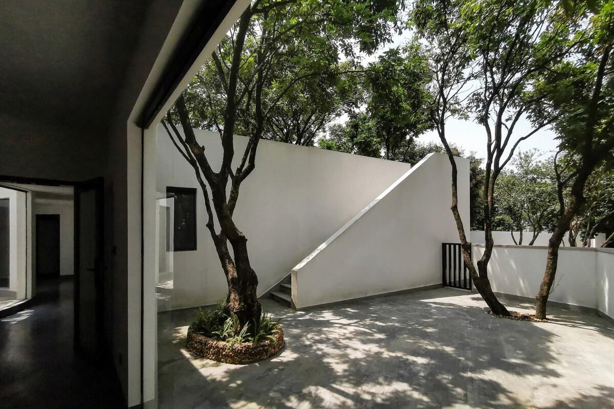 龙眼树下的院子 / 在场建筑