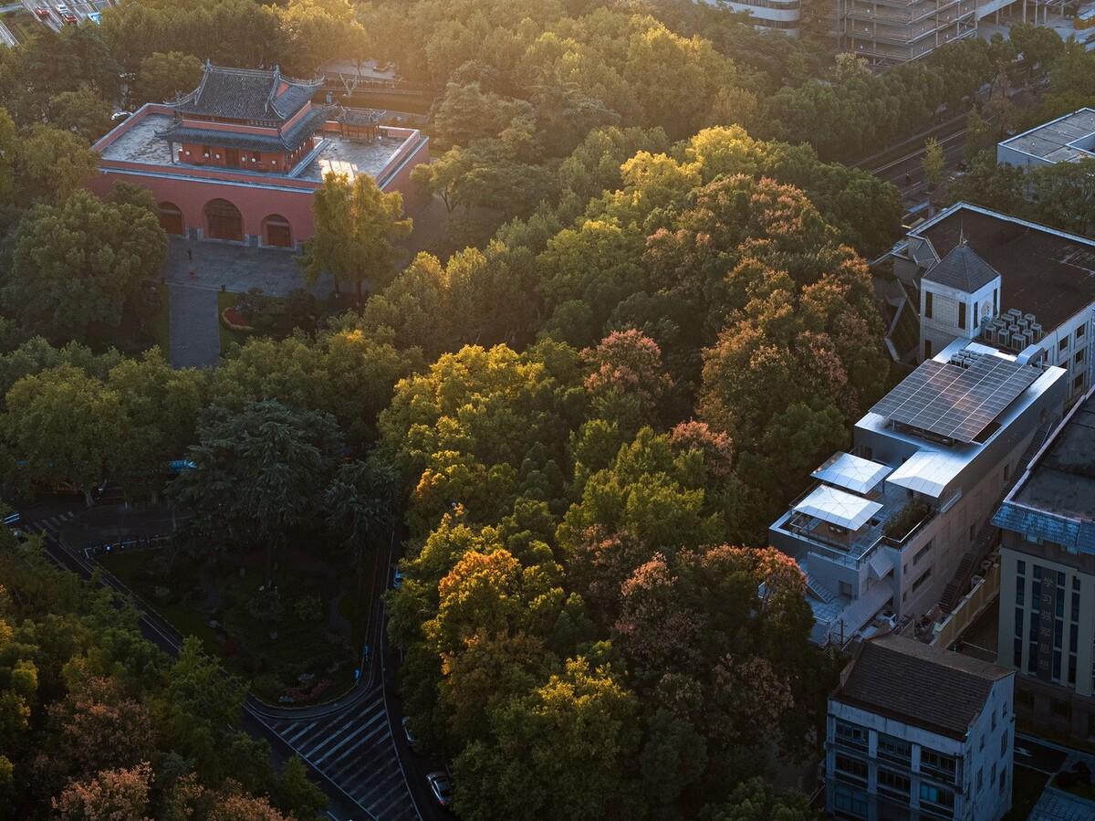 南京鼓楼锦上 OCC 餐厅 / BUZZ 建筑事务所