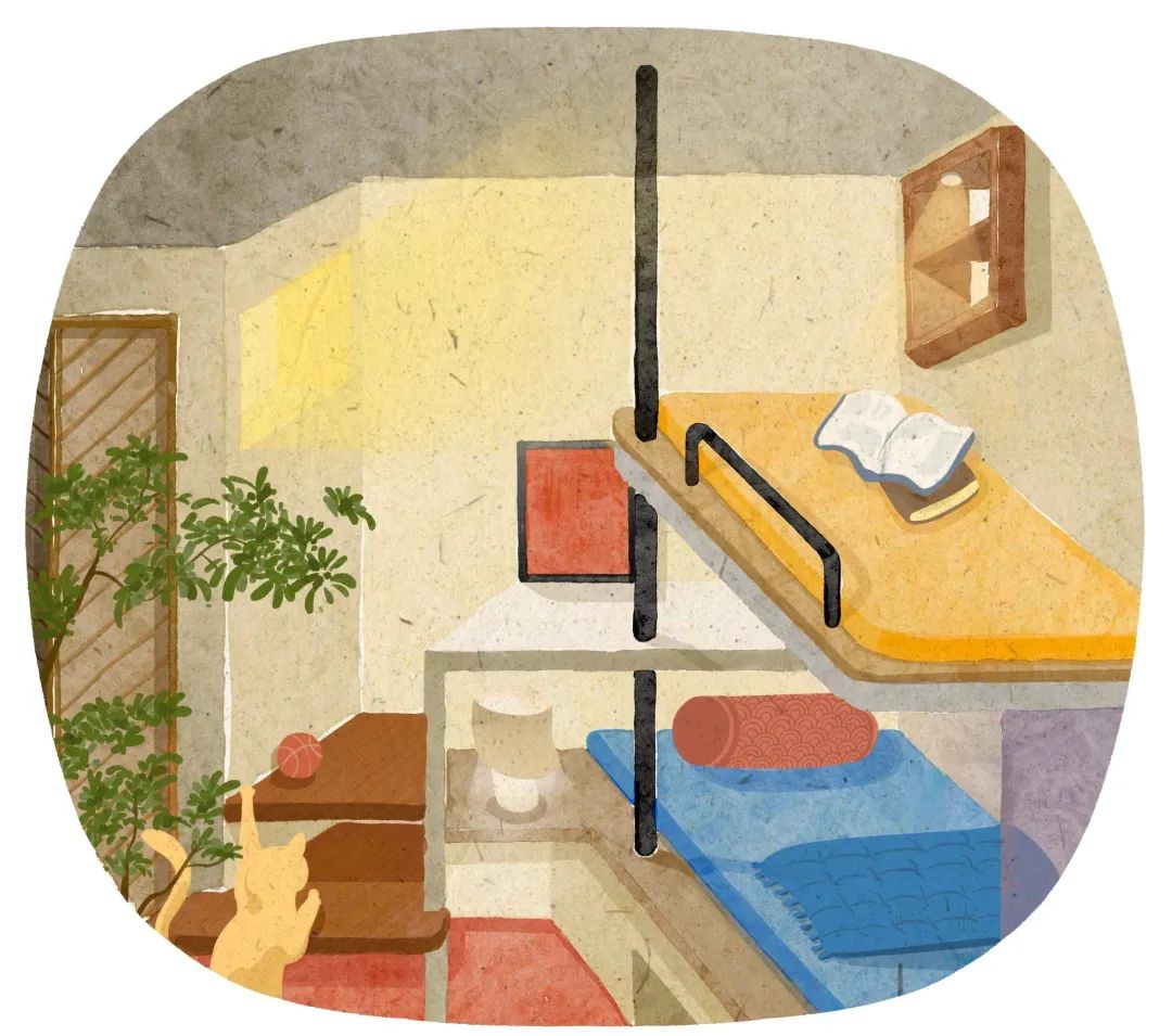 桥宅｜吴先生家 | 金秋野