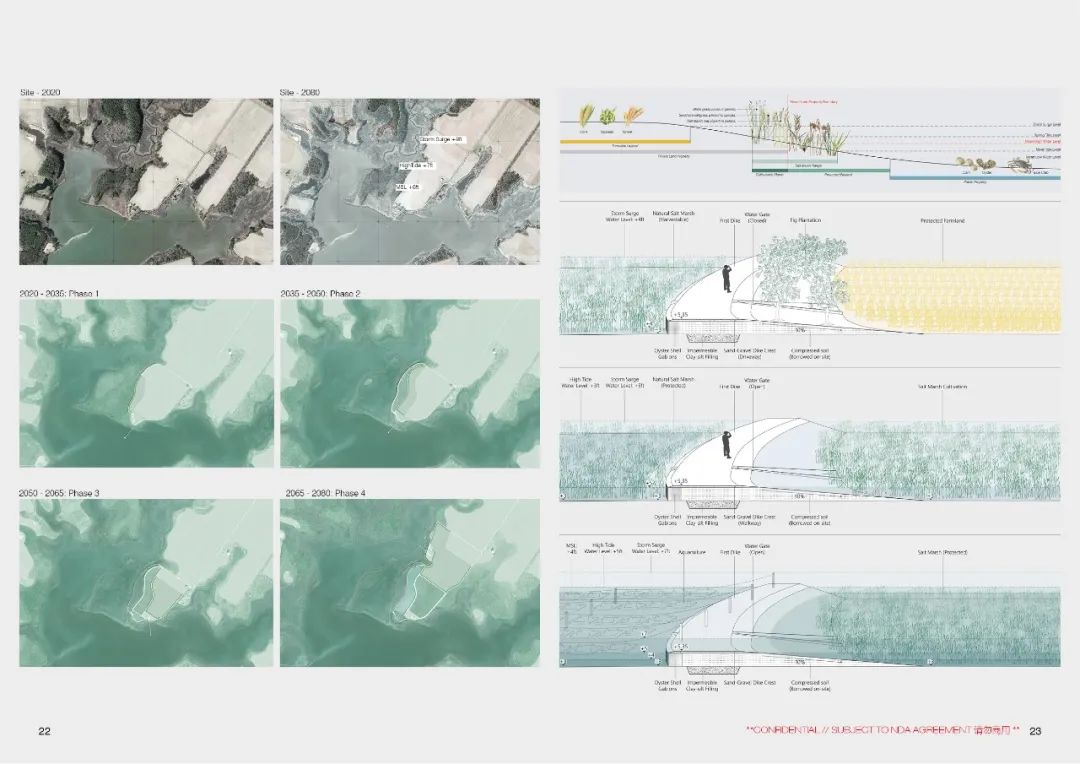 从港大到哈佛，RIOS的90后女建筑师张曈曈专访｜建筑学院 Archcollege ｜建世界03