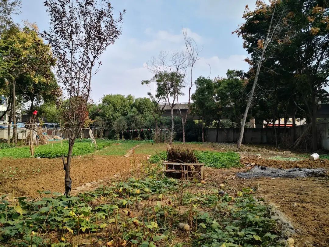 中科大学习园地 / 合木建筑工作室